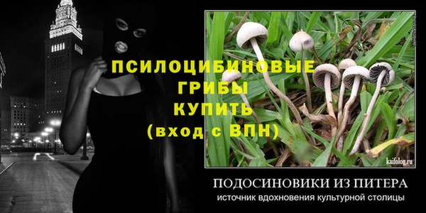 альфа пвп Коряжма