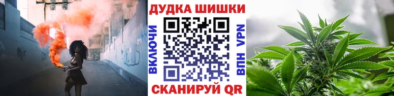 купить закладку  Фролово  Конопля SATIVA & INDICA 